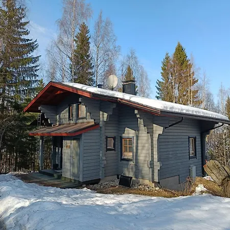 Vip-tahko 1 Villa Tahkovuori