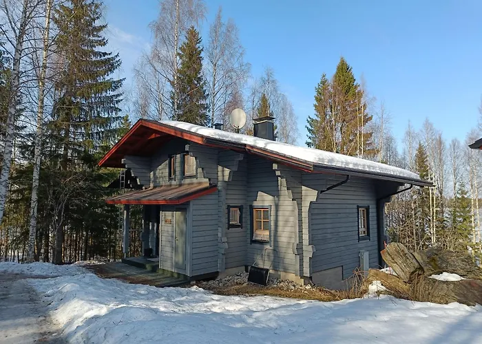 Vip-tahko 1 Вилла Тахковуори